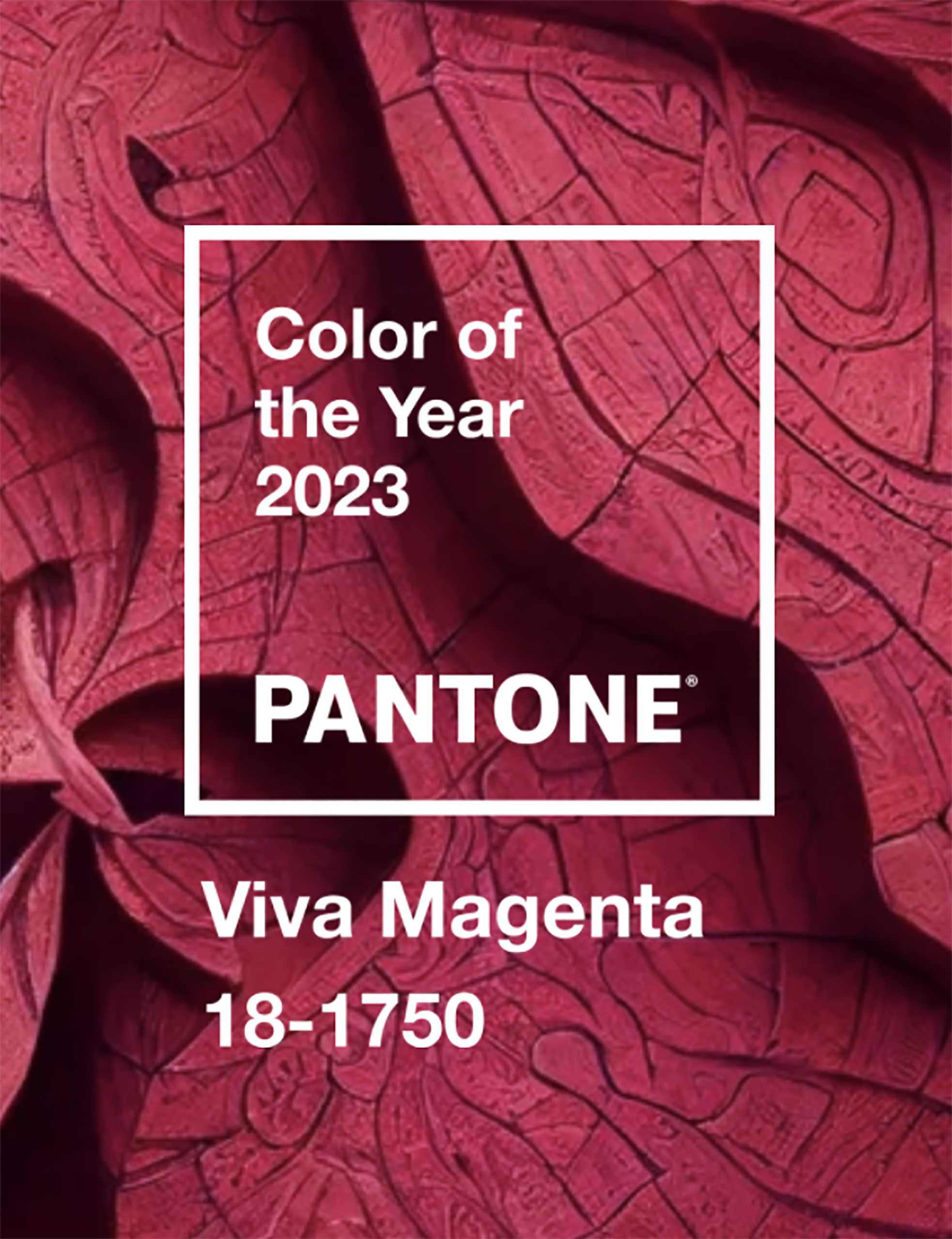 Viva Magenta 18-1750 is the 'Color of the Year