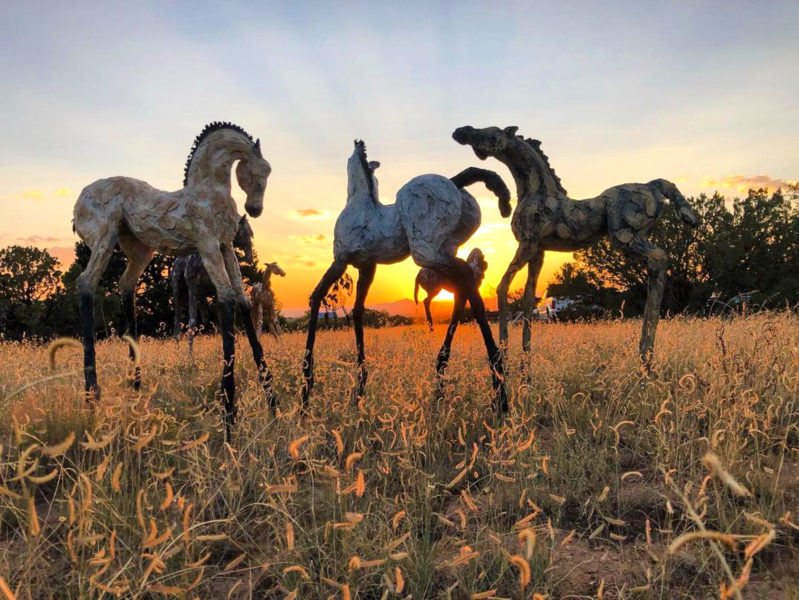 Wild Horses: The Inspiring Life and Work of Siri Hollander