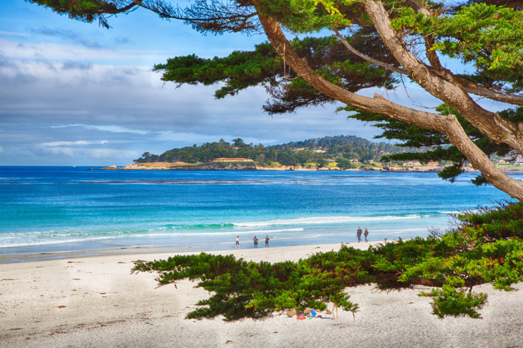 Our Artists’ Guide to Carmel-by-the-Sea