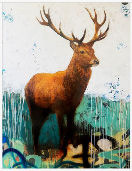 Mountain Migrations: The Art and Wonder of Elk and Moose in Motion