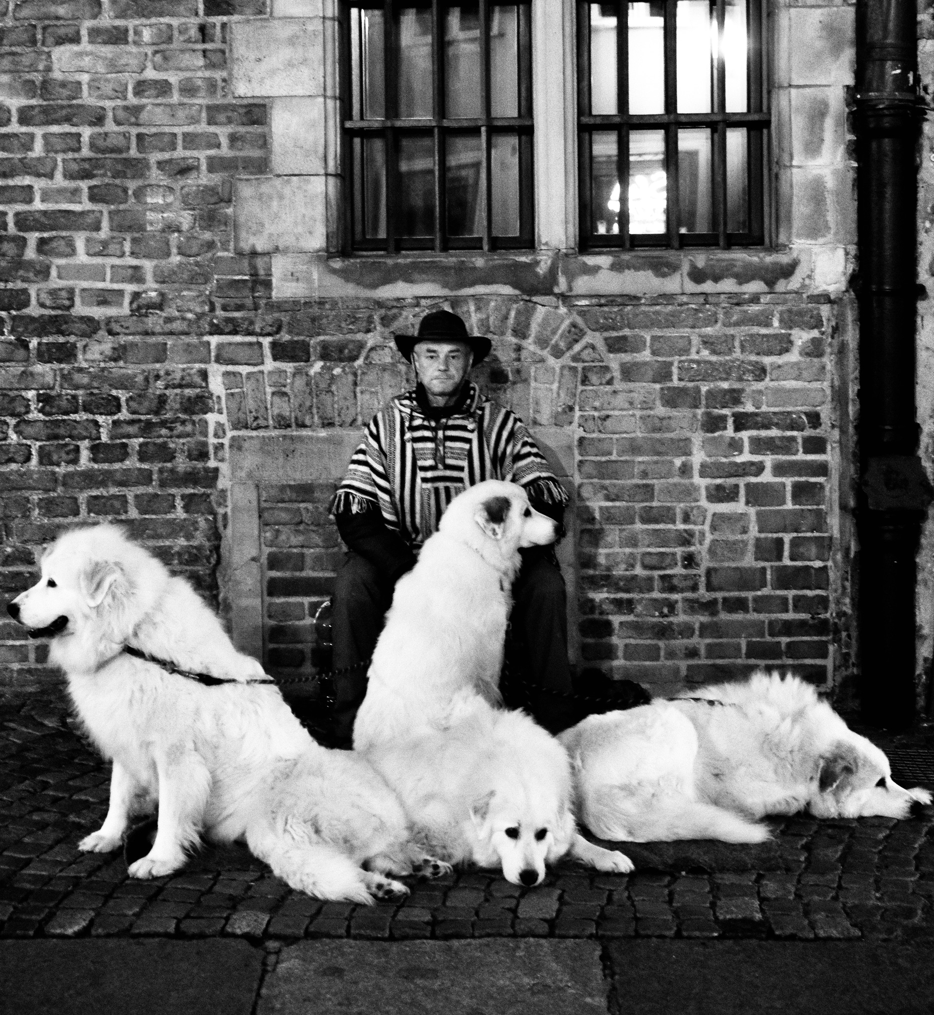 The Art of People – Capturing Sonder