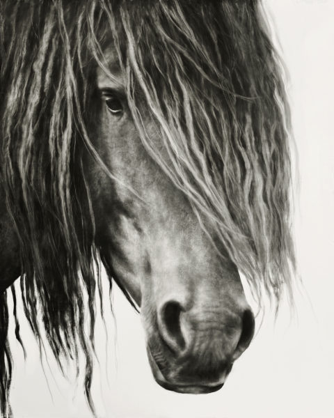 Horsepower: The Timeless Allure of Equine Art at Gallery MAR